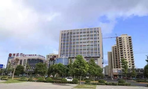 海盐锦绣商业中心 售楼信息全解析与电子商务技术服务融合展望