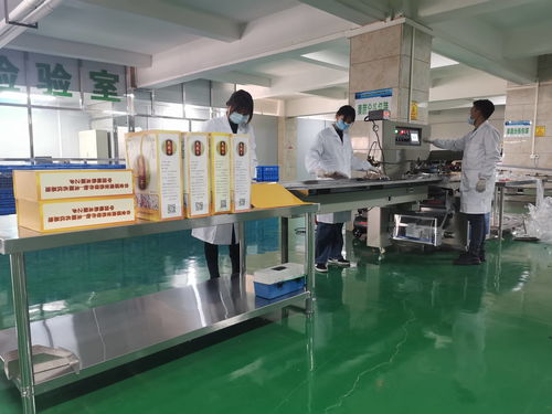 泸县电子商务技术服务 高质量推进农村综合示范建设项目